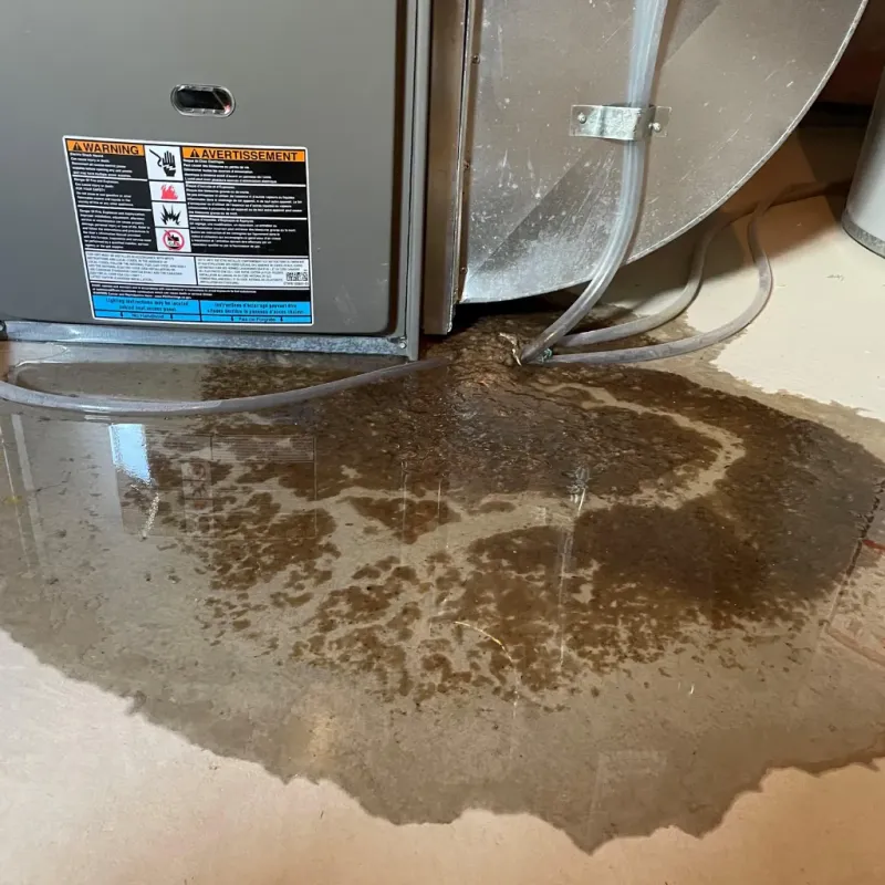 Appliance Leak Cleanup in Wailua, HI