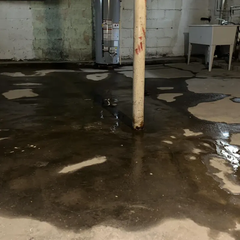 Emergency Water Extraction And Removal in Wailua, HI
